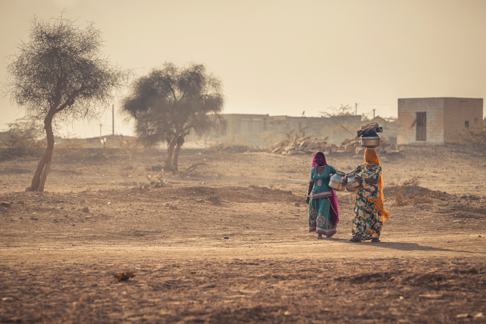 Desert woman von Milton Louiz