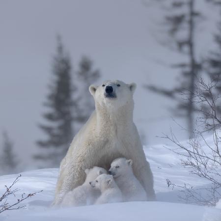 Feeding