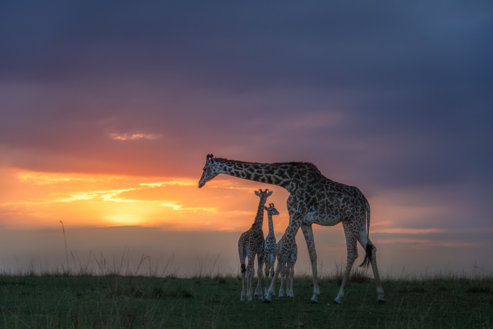 Mum and Kids von MIN LI