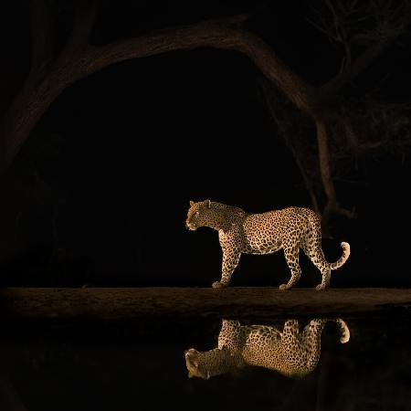 Inverted reflection in water