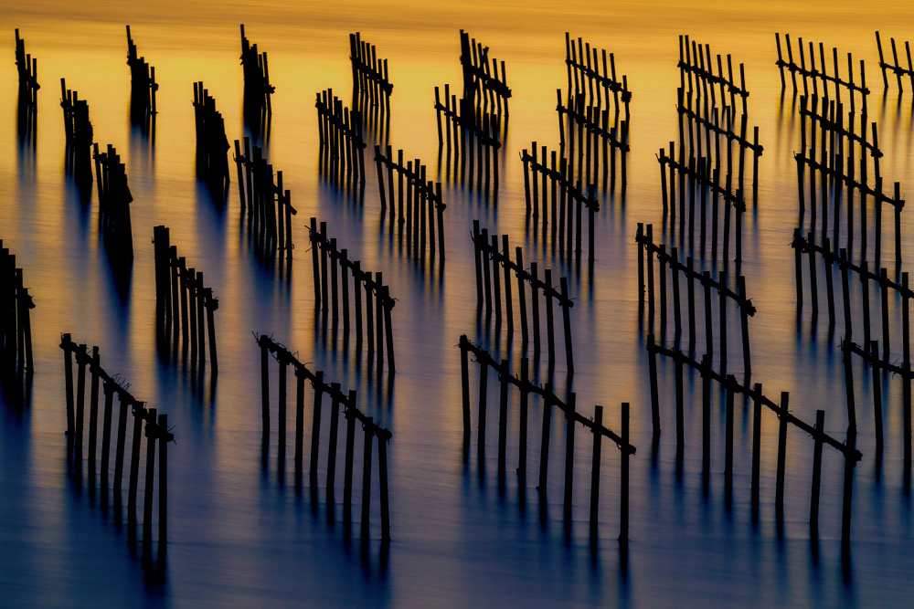 Oyster rack at golden dusk von MingLun Tsai