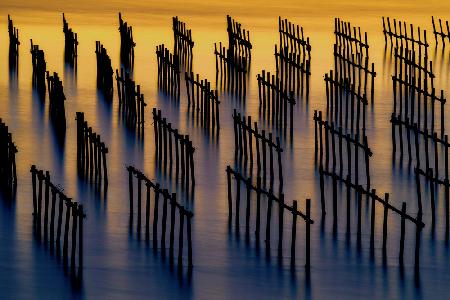 Oyster rack at golden dusk