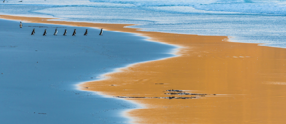 seven in the beach von miquel angel artús illana