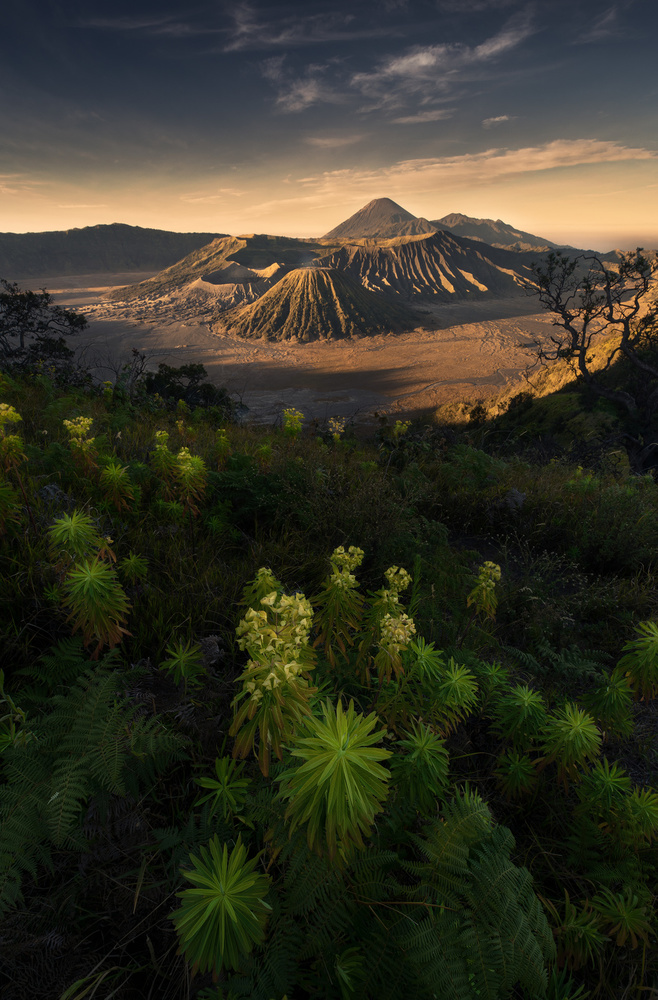 bromo volcano national park von MiracleGuo