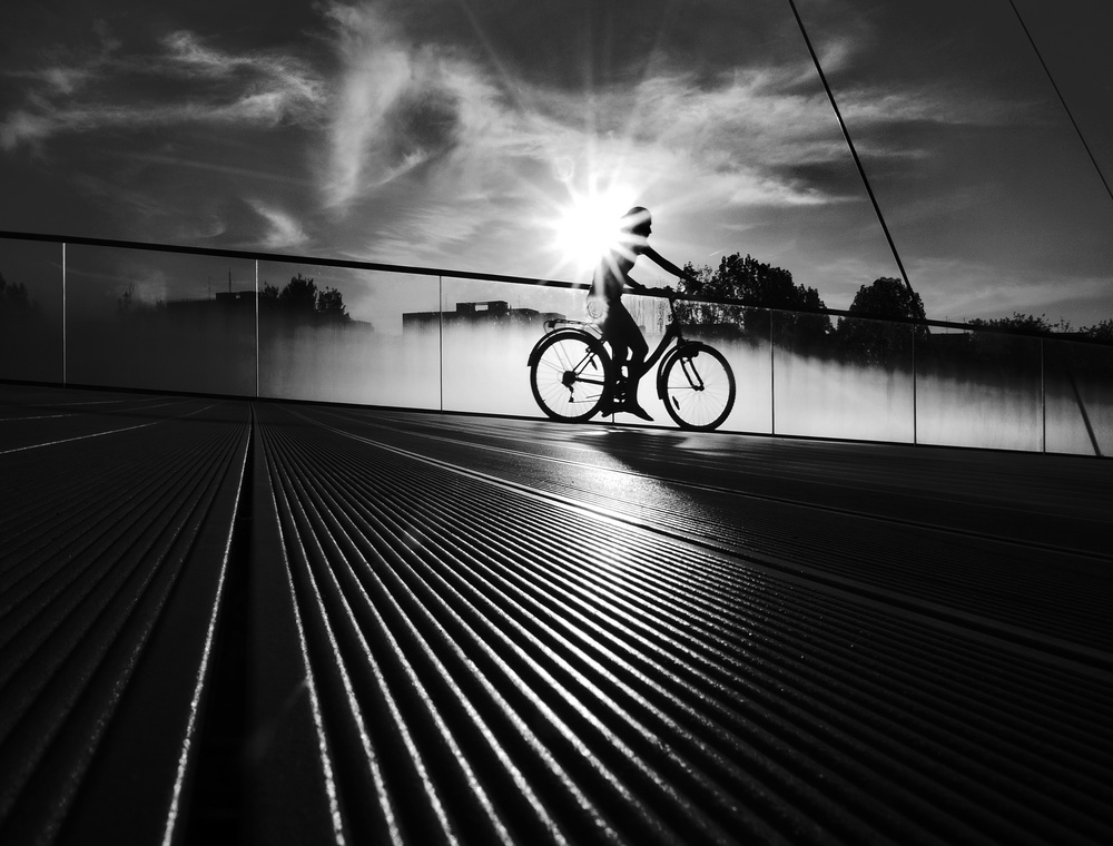 Riding The Sun von Mirela Momanu