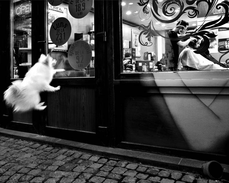 Last Customer von Mirela Momanu