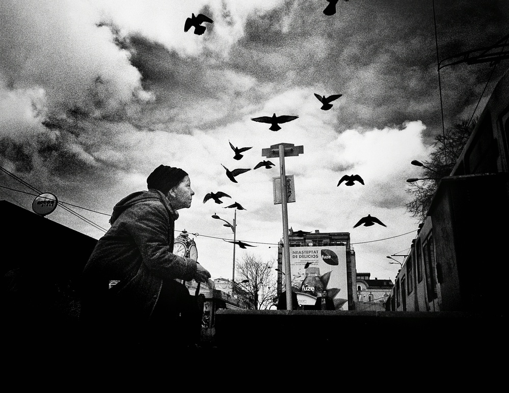 Birds Whisperer von Mirela Momanu