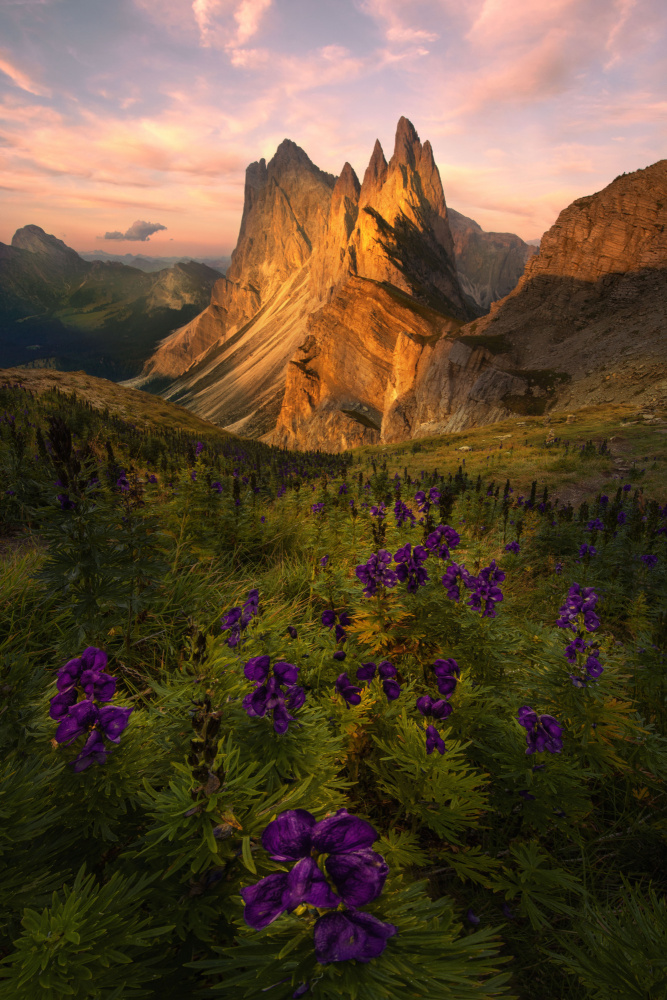 Awe von Mirko Vecernik