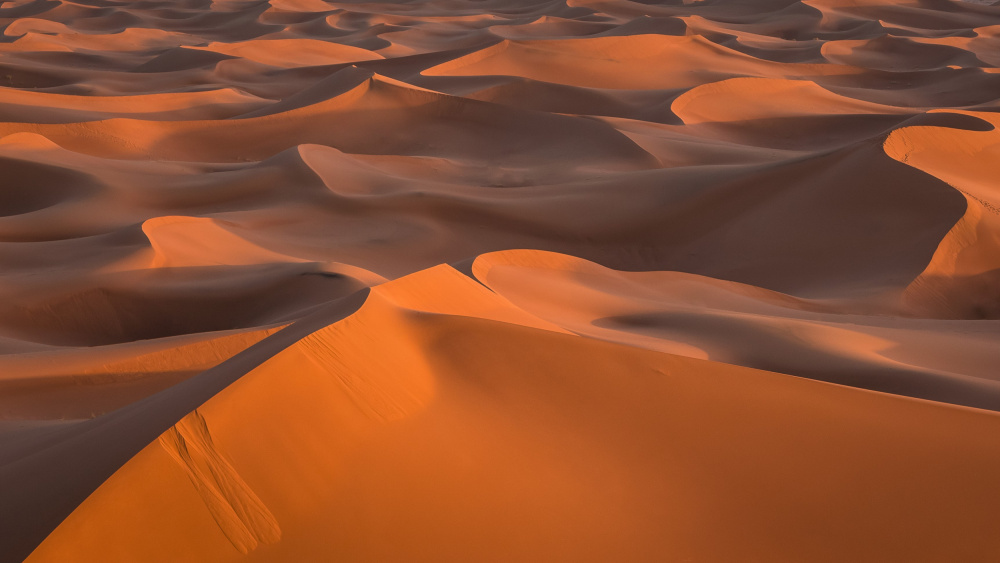 Dunes of the desert von Miroslaw Prybinski