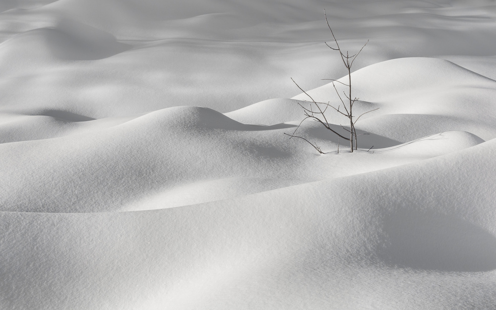 Winter silence von Miroslaw Prybinski