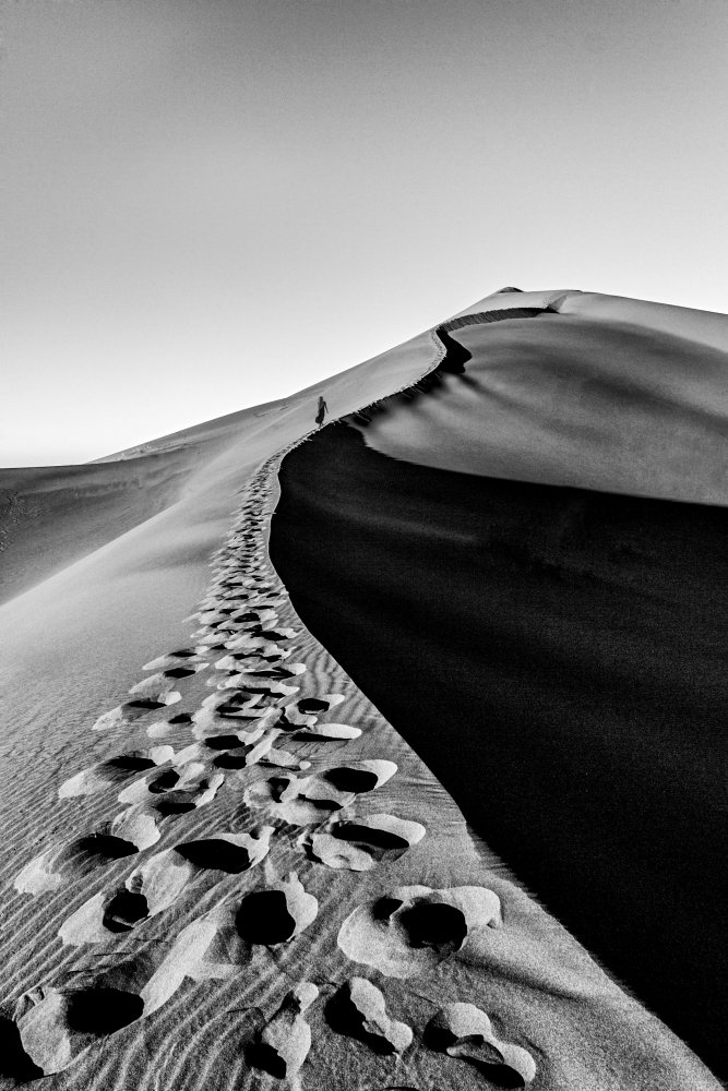 Climber von Mohammad Fotouhi