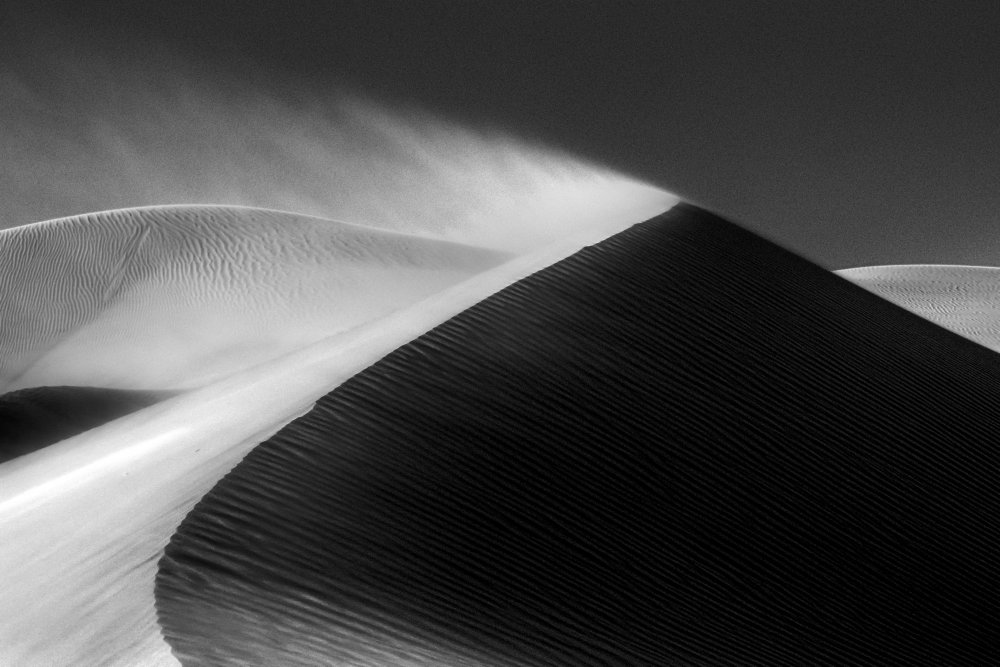 Storm in the desert von Mohammad Reza Zare