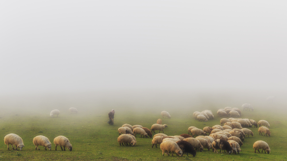 Old shepherd and fog von Mohammad Shefaa AFIAP