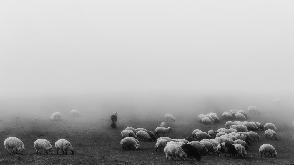 Shepherds old woman von Mohammad Shefaa AFIAP