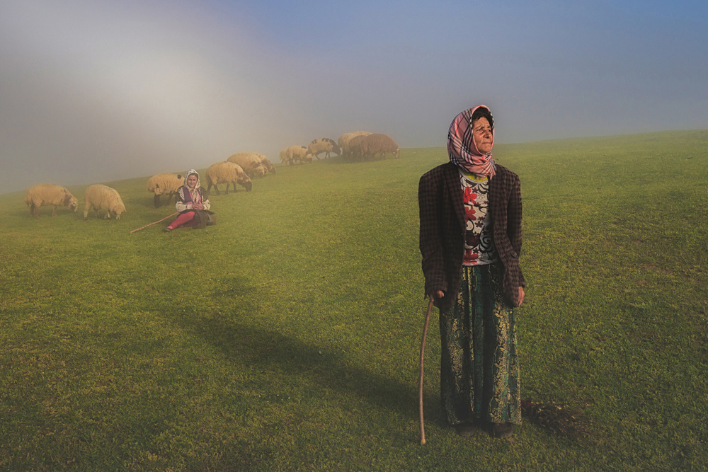 Shepherd in fog von Mohammad Shefaa AFIAP