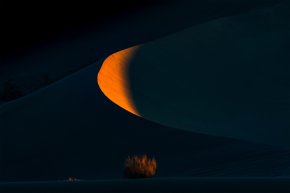 Moon and bush von Mohammad Shefaa AFIAP