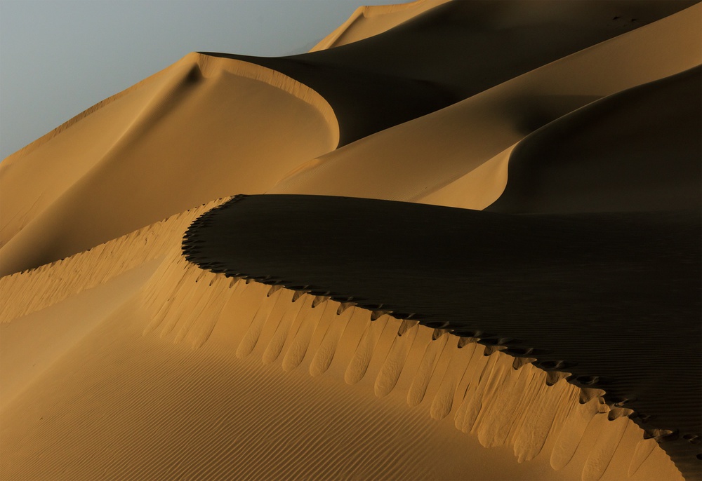 Desert Harmony von Mohammad Shefaa AFIAP