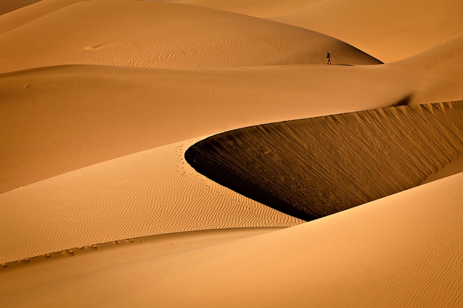 walk in the deserts von Mohammadreza Momeni