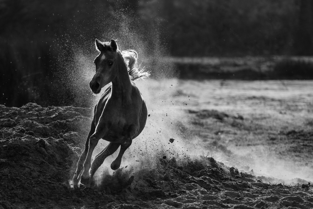 Take off von Mohammed Alnaser