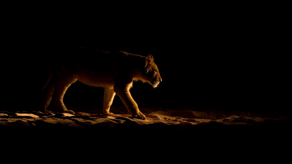 In The Spot von Mohammed Alnaser