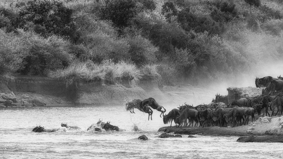 Flying Into The Unknown von Mohammed Alnaser