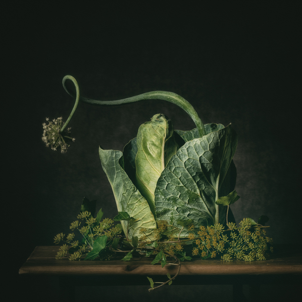 A green fairytale von Monique van Velzen