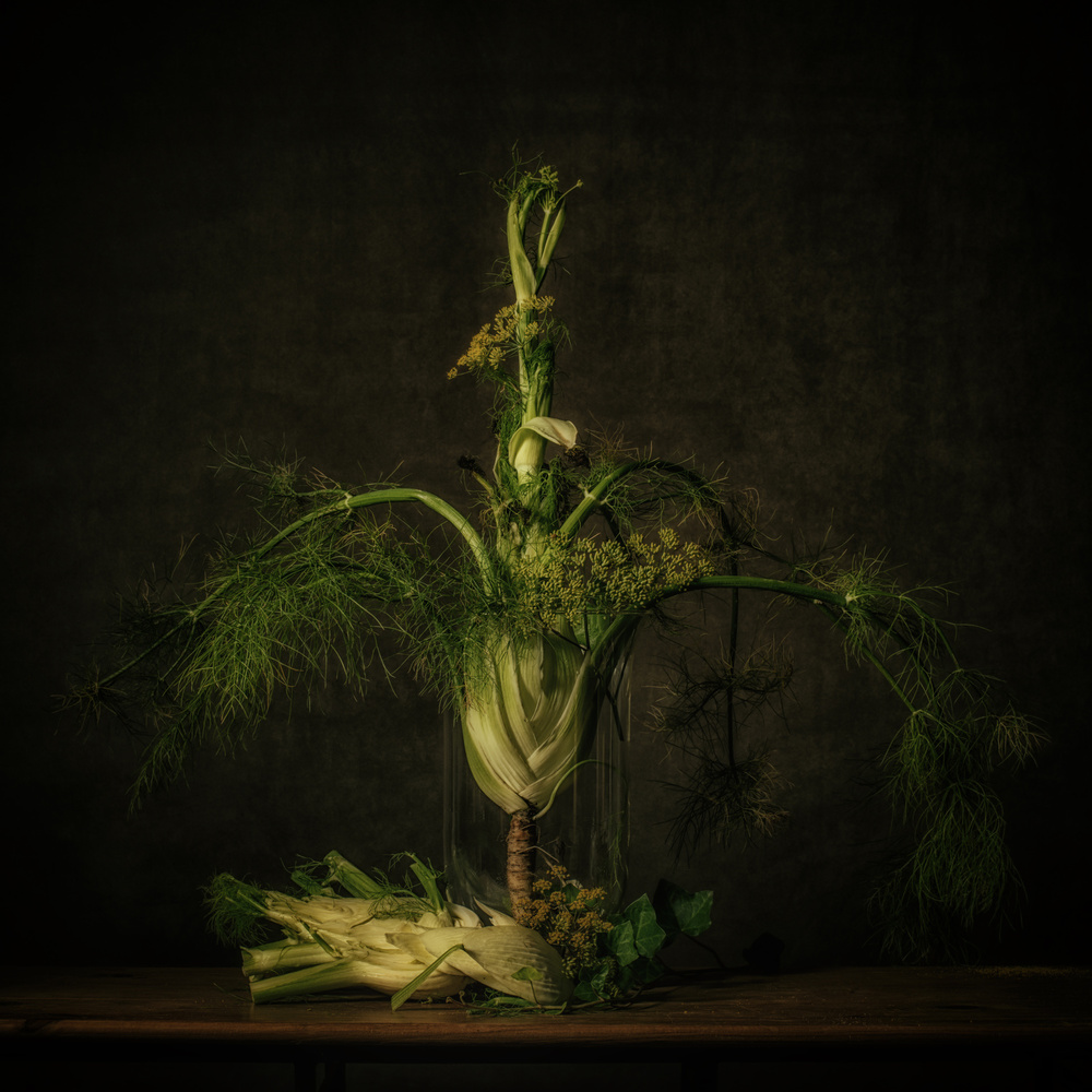 Still life Fennel von Monique van Velzen