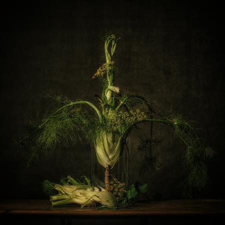 Still life Fennel