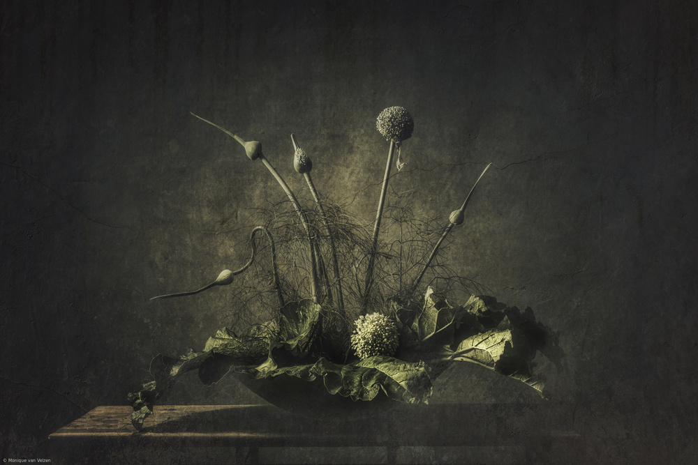 Still life vegetable von Monique van Velzen