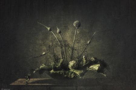 Still life vegetable