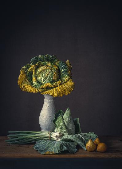 Still life yellowed vegetables