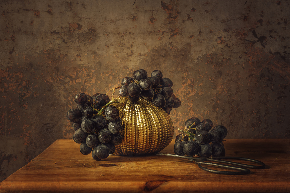 Still life Sable grape von Monique van Velzen