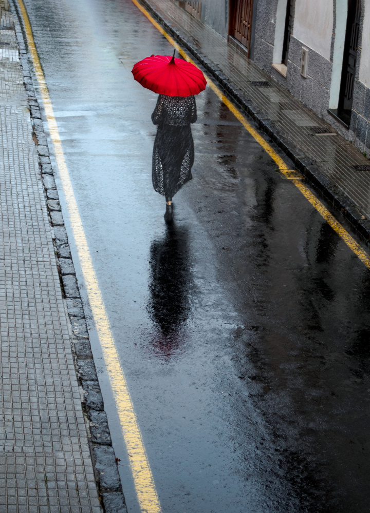 Red &amp; Black von Montserrat Alviani