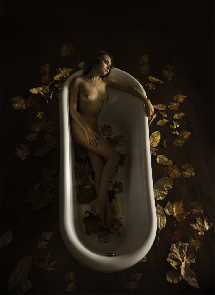 A dream in the bath von Moris Raskin