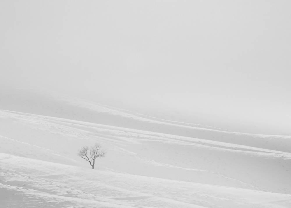 poem of silence von MOSTAFA NODEH