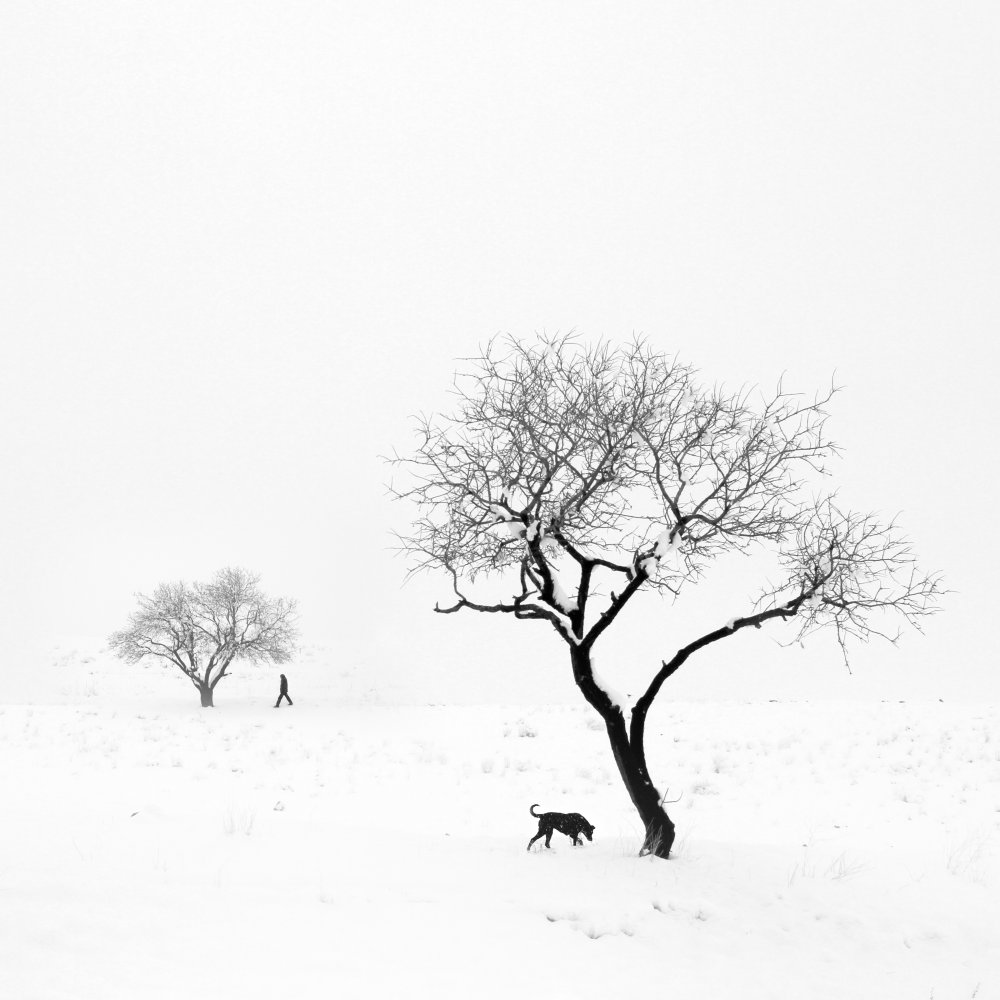 Poems of silence von MOSTAFA NODEH