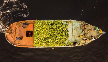 Fruits carrying cargo ship