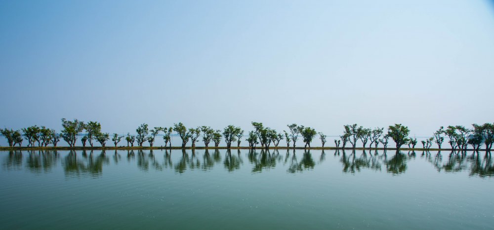 Reflection of wetland trees von Mostafijur Rahman Nasim