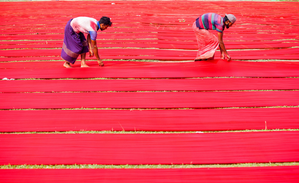 Checking von Mostafijur Rahman Nasim