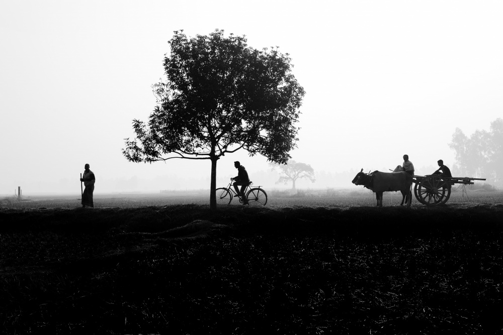 Beginning of the day von Muhammad Amdad Hossain