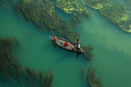 Cross the algae river