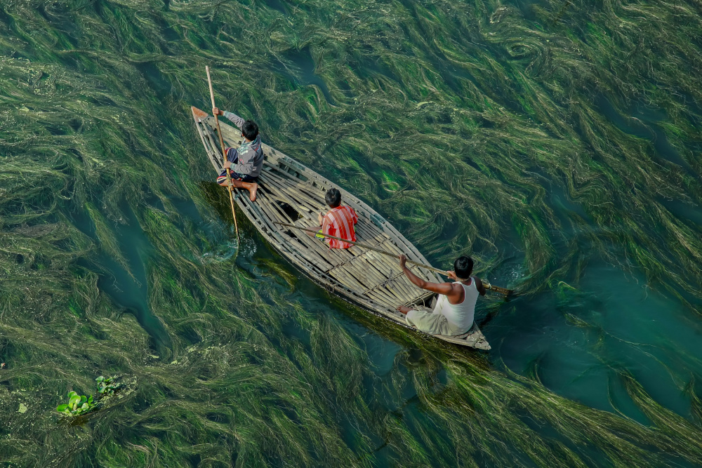 Crossing the algae river von Muhammad Amdad Hossain