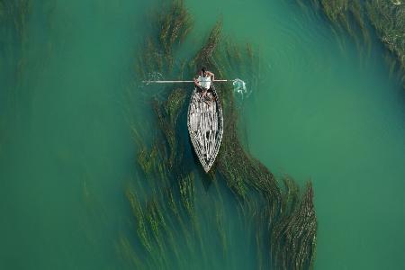 Crossing algae river