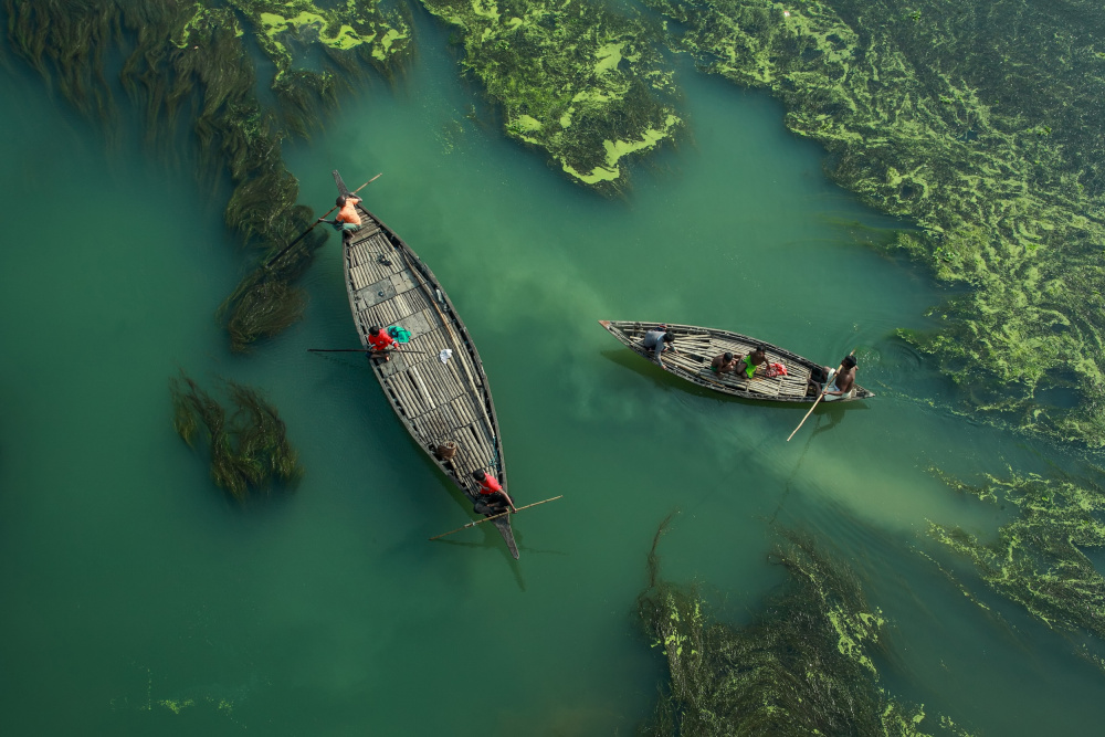 Crossing the algae river von Muhammad Amdad Hossain