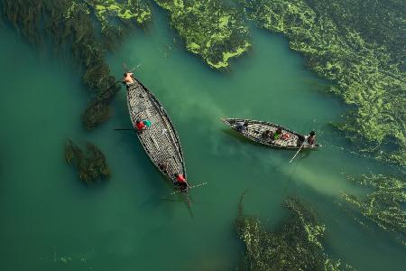 Crossing the algae river