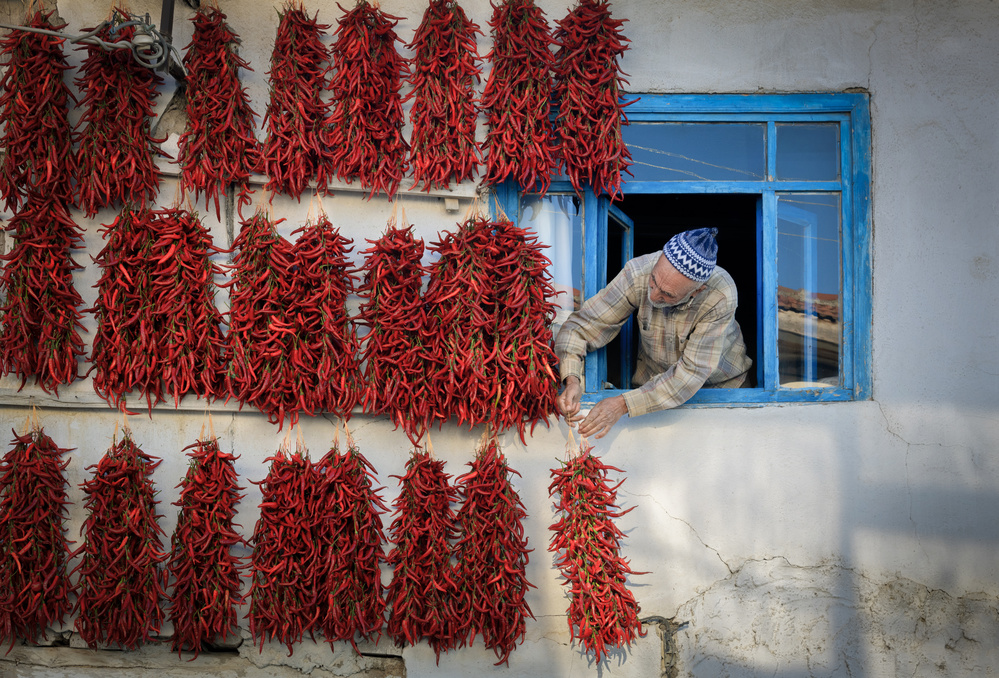 red hot pepper von Murat Bakmaz