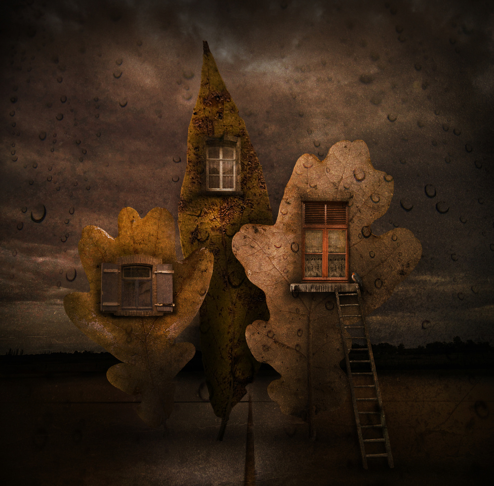 Autumn house von Muriel Vekemans