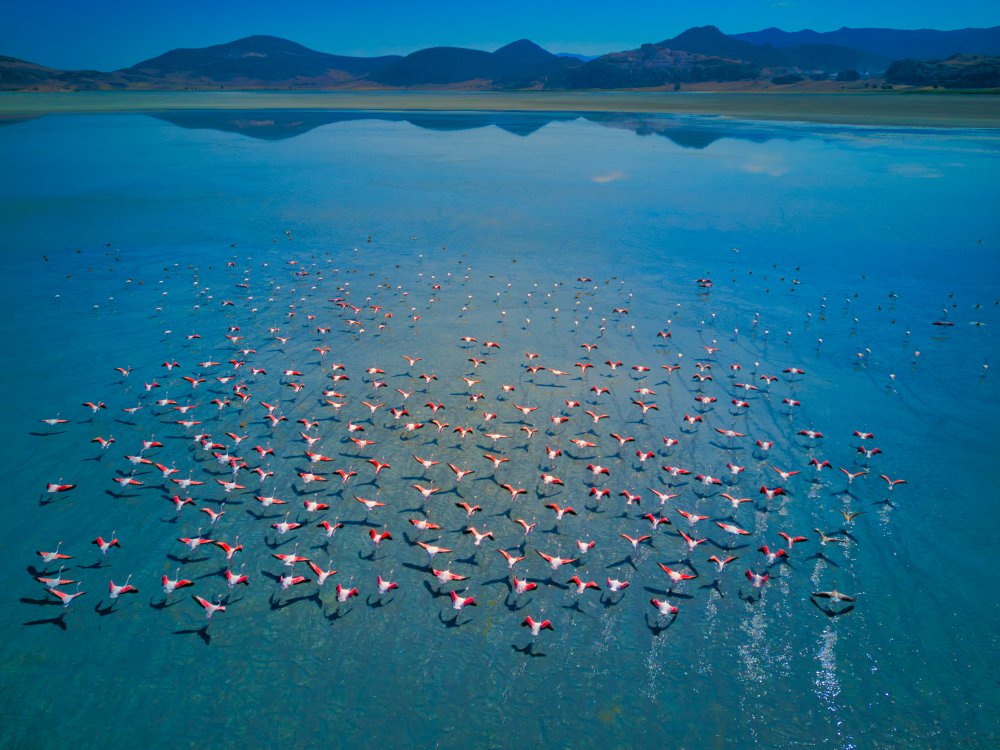 Yarışlı lake von musakeskin