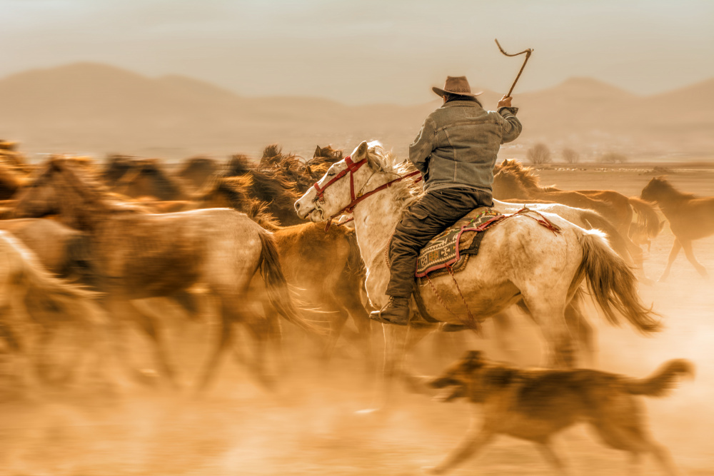 Wild horses (aka Yılkı Atları) von mustafa öztürk