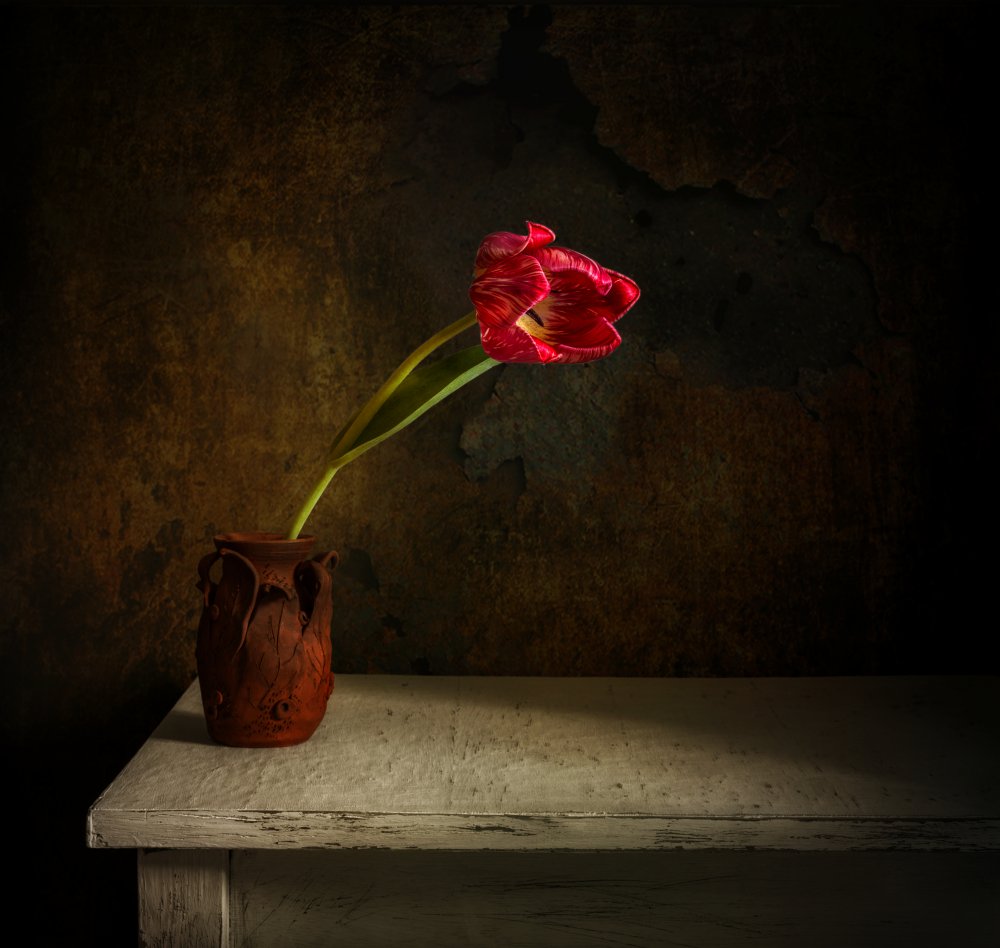 still life with flower von Mykhailo Sherman